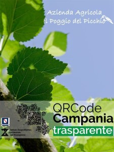 Il poggio del picchio aderisce al QRCode Campania - Il Poggio del Picchio